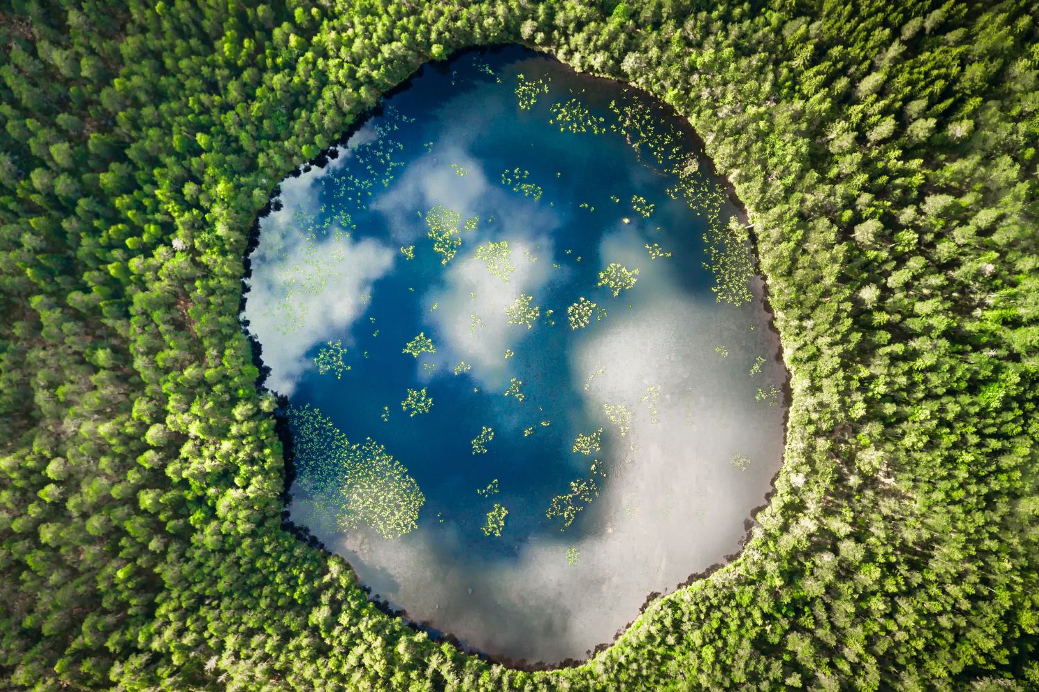 Lac mic în formă neregulată, înconjurat de pădure densă și verde, cu reflexia norilor pe suprafața apei albastre și câteva plante plutitoare.